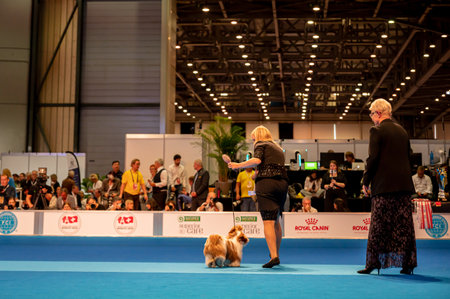 Geneva, Geneva Canton, Switzerland - 27 August, 2023: Handler presenting dog during World dog show.のeditorial素材