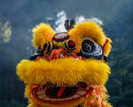 Traditional lion dance. Close-up of one yellow lion mask. Celebration in Chinese New Year.の写真素材