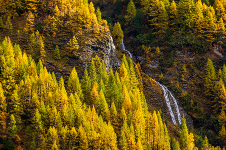 Waterfall in autumn forest. Beauty in nature.の写真素材