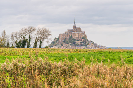 Mont Saint-Michel Abbey and Village from Rural Fields. Normandy, France.の写真素材