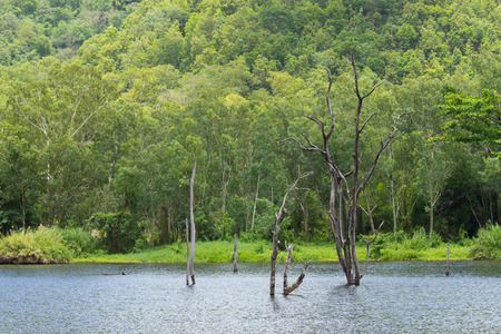 Lakeの写真素材