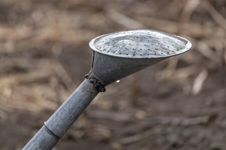 Watering can spout and diffuser. Part of Old watering still iron can, simple vessel for drip...