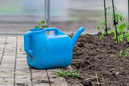 Blue plastic garden watering can next to the plowed land in greenhouse. Garden equipment for watering plants, vegetables and fruitsの写真素材