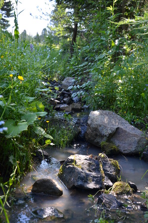 mountain streamの写真素材