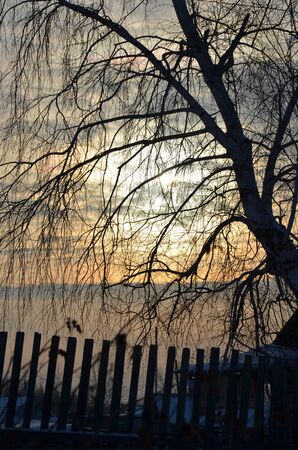 decline, trees, silhouettesの写真素材