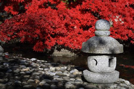 Japanese garden with bright red maple and a stone statue.の写真素材