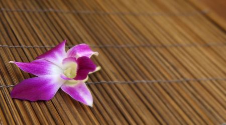 Colorful flowers.の写真素材