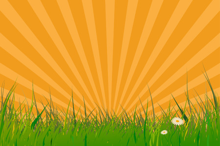 Vector - Grass with sun burst effect. Spring time.のイラスト素材
