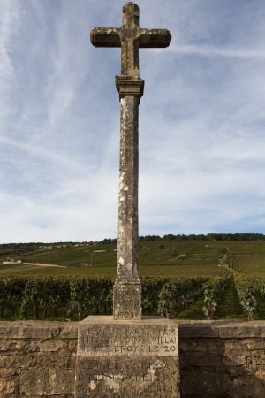 Vineyard in vosne romanee, burgundy, france during autumn or harvest seasonの写真素材