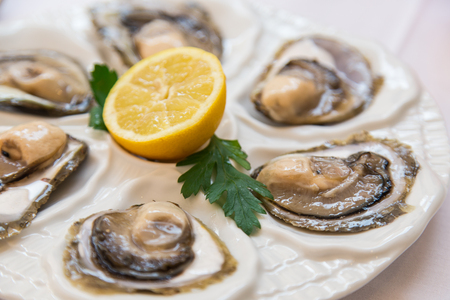 Closeup of a fresh plate of open oysters with a slice of lemon as an appetizerの写真素材