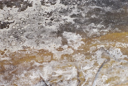 Blur background, surface of salty leaf dry kelp, seaweed Dashi Kombuの写真素材