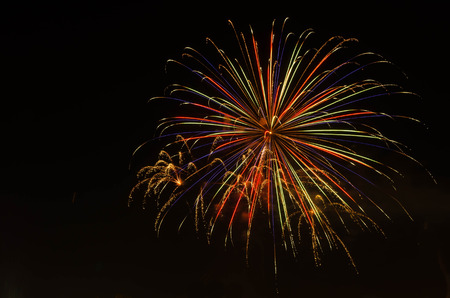 firework on dark sky to celebration.