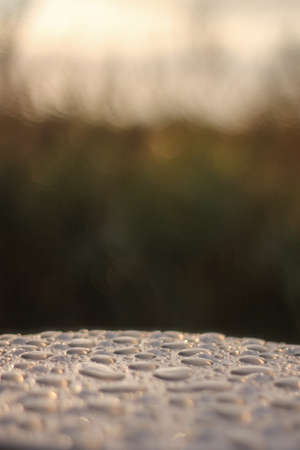 Raindrops on a surfaceの写真素材
