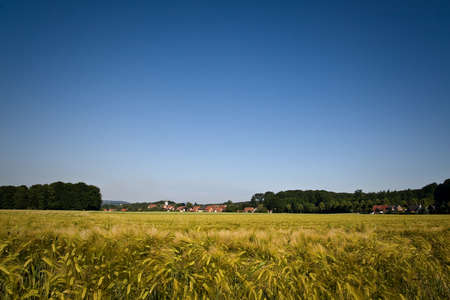 a small village on a sunny dayの写真素材