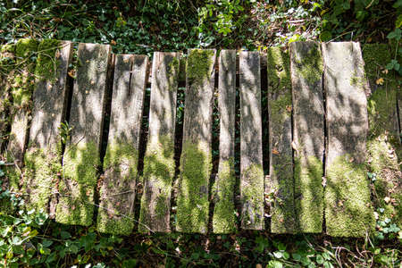 an old wooden bridge with some moss from above in the sunの写真素材