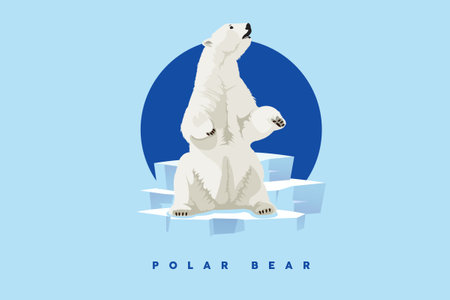 Polar Bear, White bear character. Illustration character Bear Cartoon.