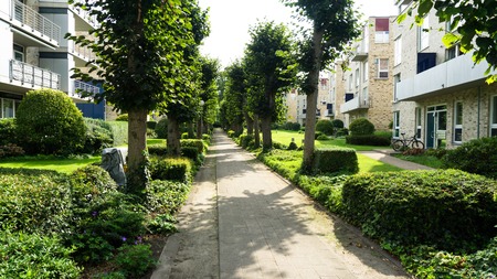 residential area real estateの写真素材