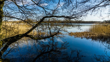 calm lake in spring sunlightの写真素材