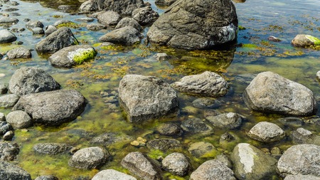 rocks in the water