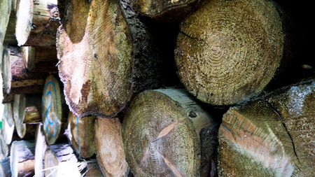 closeup of a stack of roundwood