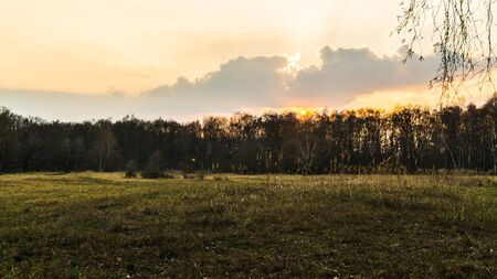 winter landscape with meadow and forest at sunsetの写真素材