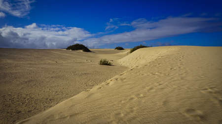 sand dunes and desert-like landscape near Corralejo on Fuerteventuraの写真素材