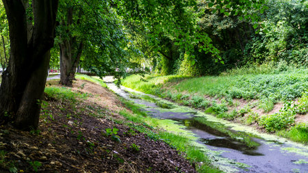 small creek surrounded by trees in park in Stendal during summer time