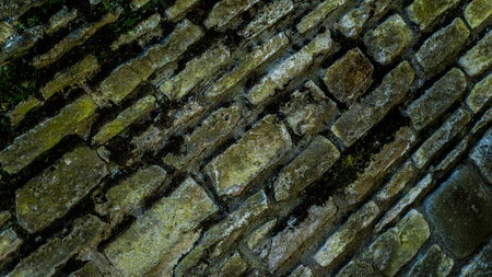brick wall in the city of Mainzの写真素材
