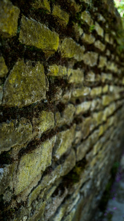 brick wall in the city of Mainzの写真素材