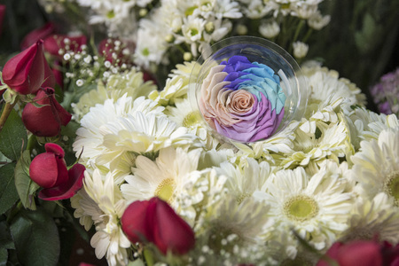 White flowersの写真素材