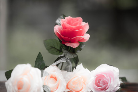 Roses made of fabric,beautiful flowersの写真素材