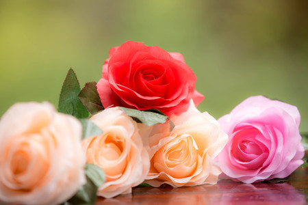 Roses made of fabric,beautiful flowersの写真素材