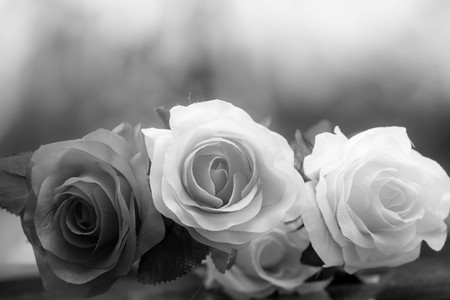 Roses made of fabric,beautiful flowersの写真素材