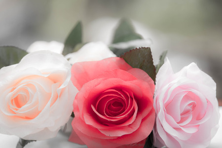 Roses made of fabric,beautiful flowersの写真素材