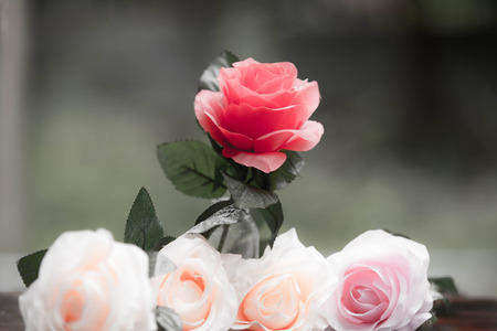 Roses made of fabric,beautiful flowersの写真素材