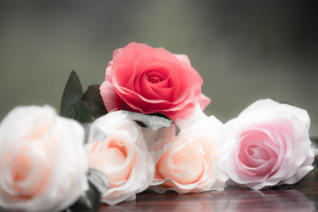 Roses made of fabric,beautiful flowersの写真素材