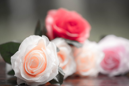 Roses made of fabric,beautiful flowersの写真素材