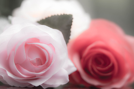 Roses made of fabric,beautiful flowersの写真素材