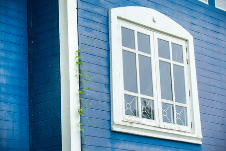 white frame window with blue wall at background,There is a vine up the wall.の写真素材