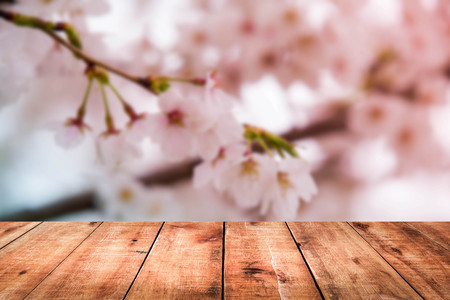 image of wooden table in front of cherry blossom backgroundの写真素材