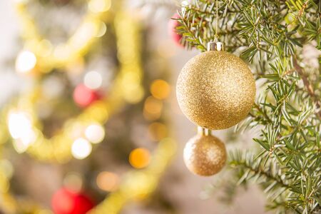 Close-up of gold Christmas ball hanging on Christmas tree.の写真素材