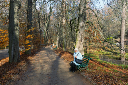 Central Alley in park "Sofiyivka" (National dendrological park of Ukraine).  Uman city, Central Ukraineの写真素材