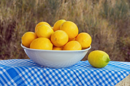 Yellow lemons  in the white bowlの写真素材