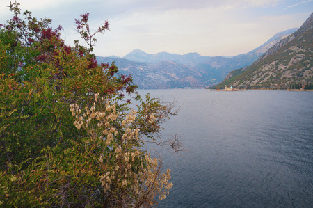 Autumn. Shore of the Bay of Kotor (Adriatic Sea) on a foggy day. Montenegroの写真素材