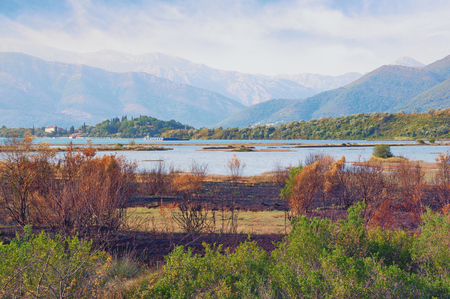 View of special botanical and animal reserve Solila  (home to rare bird species) on a sunny autumn day. Tivat, Montenegroの写真素材