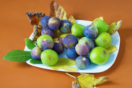 Bright autumn still life with fig fruits and leavesの写真素材