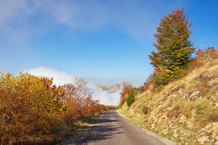 Autumn road in the mountains. Lovcen National Park, Montenegroの写真素材
