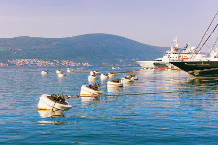 Mooring in the port of Tivat city.  Montenegroのeditorial素材