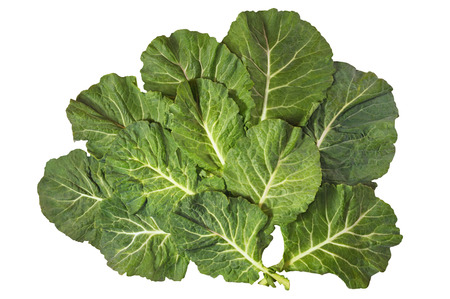 Rastan ( Collard greens, collards ) - popular leafy vegetables in Balkan cuisine. Isolated on white background, flat layの写真素材