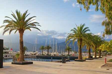 View of embankment of Tivat city and yacht marina of Porto Montenegro on autumn day.  Montenegro, Adriatic Sea, Bay of Kotorの写真素材
